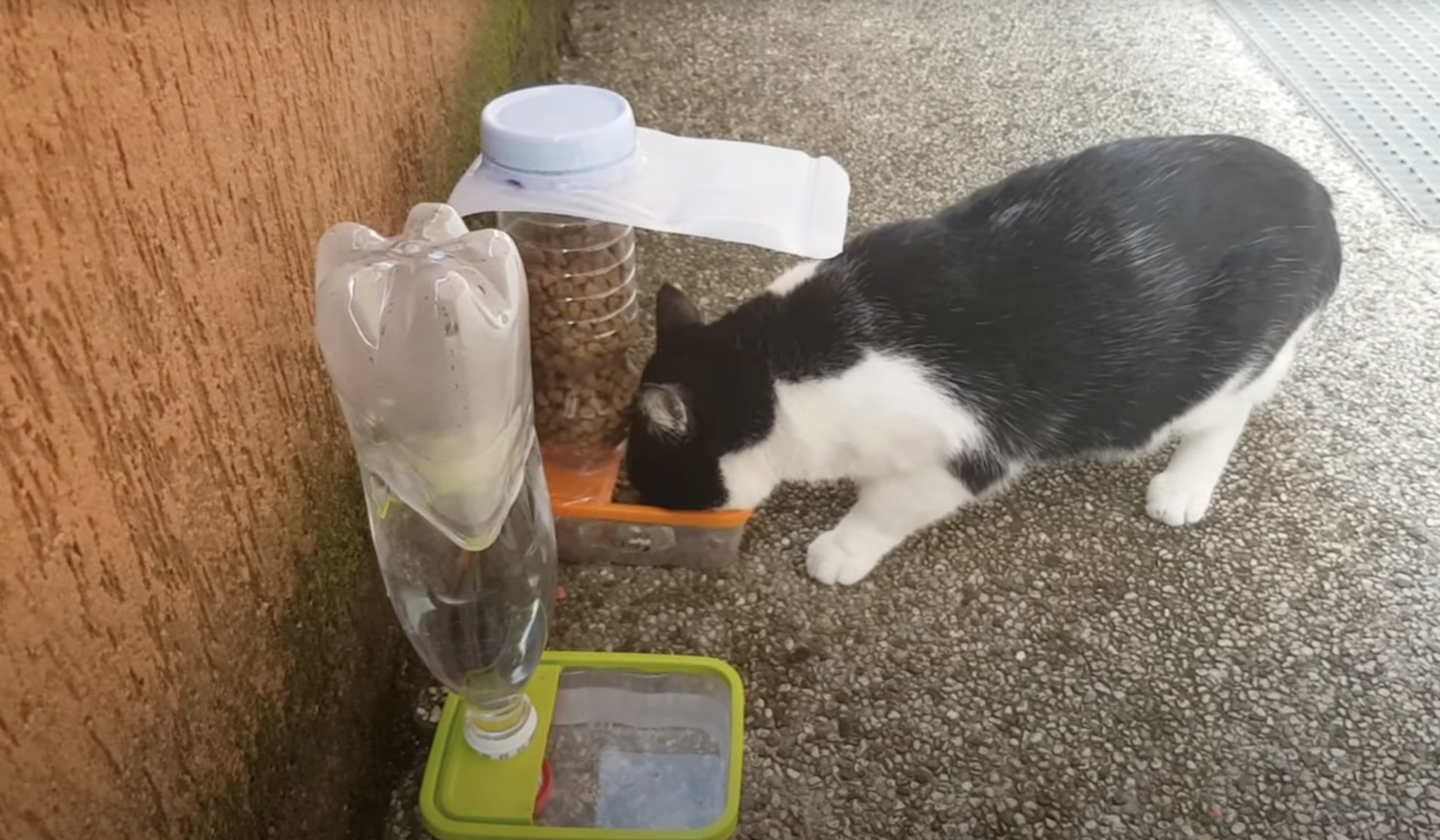 Diy Automatic Feeder for Cats: Easy Steps for Smart Pet Feeding